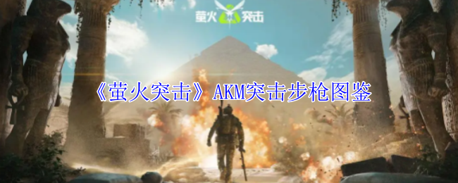 《萤火突击》AKM突击步枪图鉴