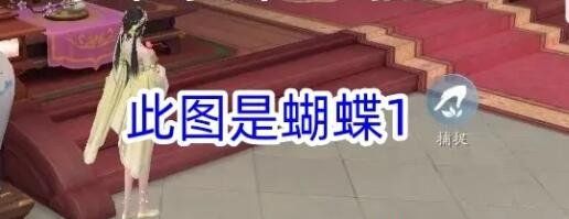 《浮生忆玲珑》烟雨楼蝴蝶位置分布大全