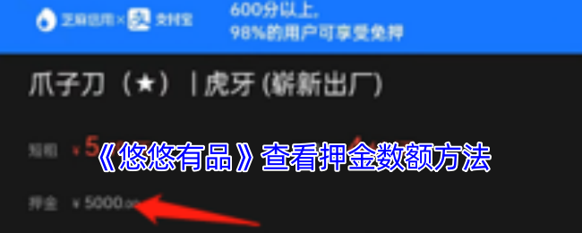 《悠悠有品》查看押金数额方法