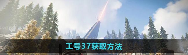 《七日世界》工号37获取方法