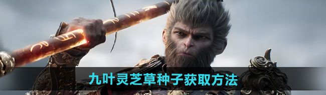 《黑神话悟空》九叶灵芝草种子获取方法