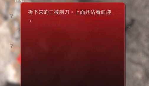 《孙美琪疑案：浮生若梦》五级线索——军刺