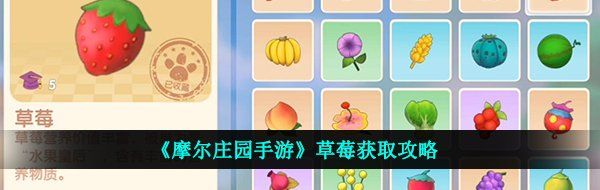 《摩尔庄园手游》草莓获取攻略